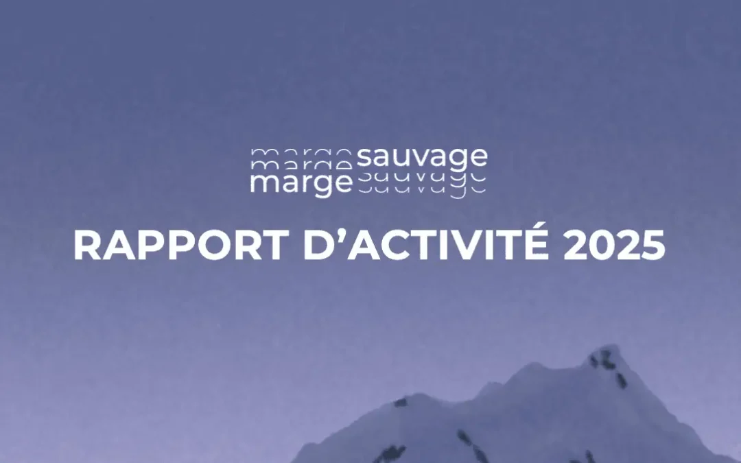Rapport d&rsquo;activité 2025