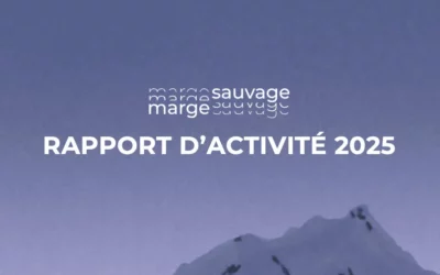 Rapport d&rsquo;activité 2025